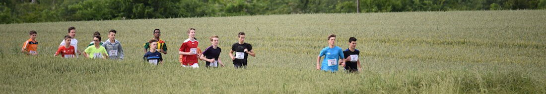 header24